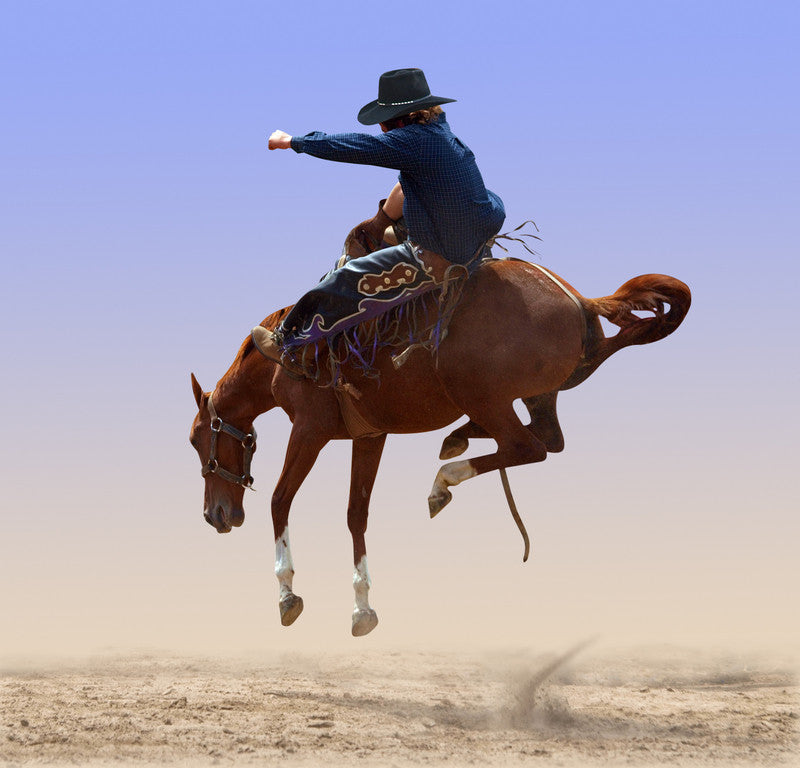 Get Back the Reins of your Life